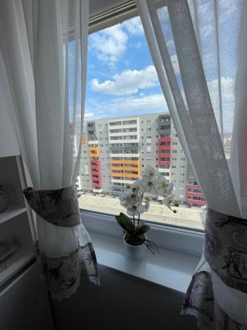 Brighita Apartment Oradea Ngoại thất bức ảnh